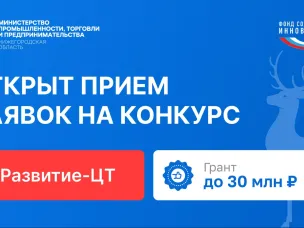 До 30 млн рублей могут получить нижегородские компании на развитие разработок в сфере цифровых технологий